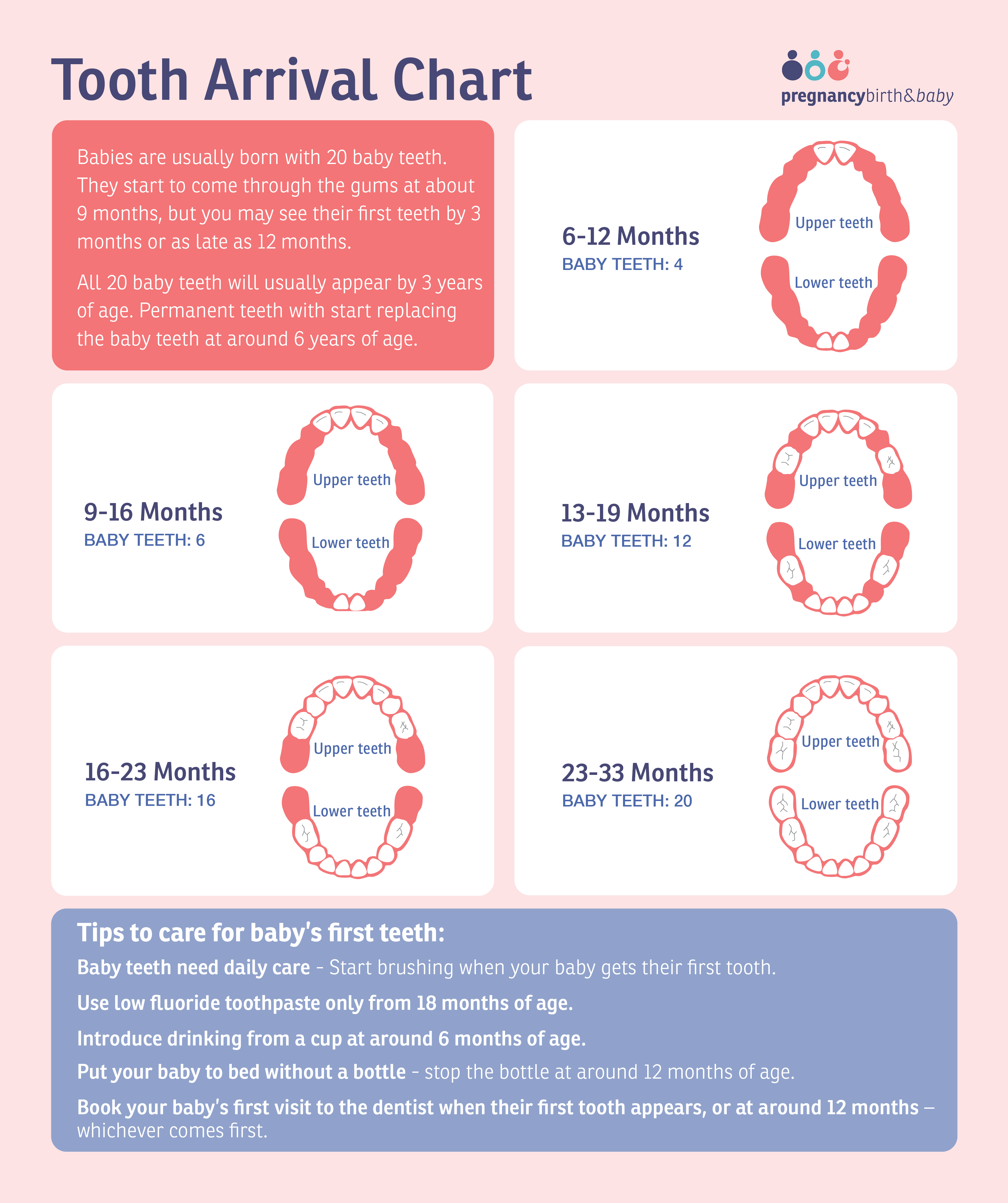 Babies are usually born with 20 baby teeth. Use this chart to see when you can expect their teeth to come through.